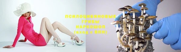 прущий лед Алексеевка