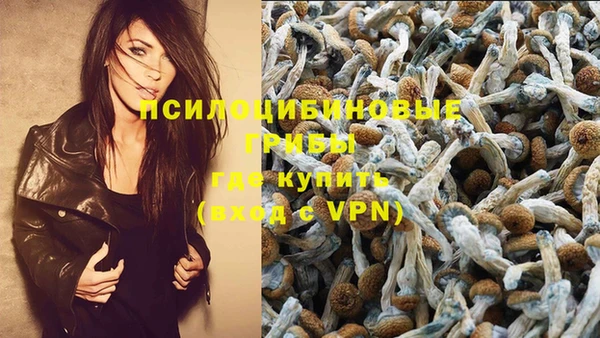 мяу мяу кристалл Алексин