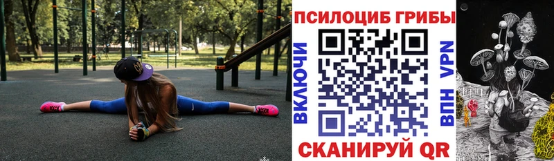 Псилоцибиновые грибы Psilocybe  Лукоянов 
